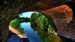 river water Plants summer outdoors reflection tunnel