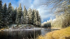 river winter cold Trees outdoors nature