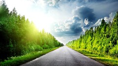 road clouds sky Trees