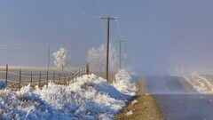 road landscape winter