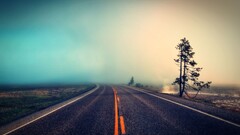road mist landscape cyan Trees