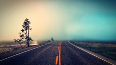 road mist Trees grass landscape cyan