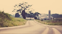 road outdoors asphalt