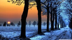 road sunset snow winter field Trees