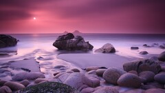 rocks beach Sea nature purple