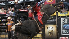 rodeos Cowboys Bull Animals