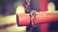 Ropes Wood depth of field blurred bokeh