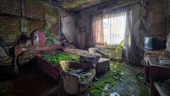 ruin indoors overgrown House bed