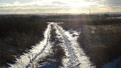 Russia winter snow road path dirt road