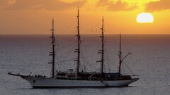 sailing ship ship Sea sun vehicle