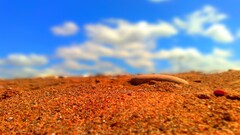 sand red depth of field