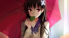 sankarea sanka rea anime girls schoolgirl Anime flower in hair