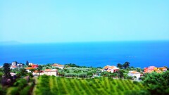 Sea blurred depth of field