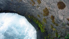 Sea cliff rock moss nature water