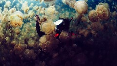 Sea jellyfish Divers underwater photography diving