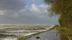 Sea nature water storm