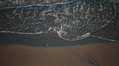 seagulls waves Birds Animals beach