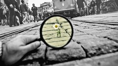 selective coloring Flowers cityscape tram People