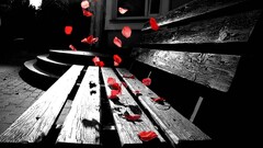selective coloring leaves bench