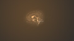 Simple Background brain brown background brown