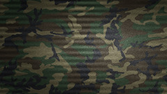 Simple Background camouflage pattern Green