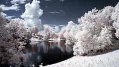 Simple Background simple Lake pond nature snow Trees landscape