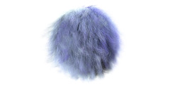 Simple Background white background furry