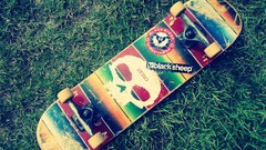 skateboard stickers grass
