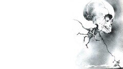 skull artwork horror