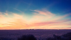 sky field sunset landscape