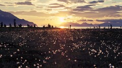 sky landscape Flowers clouds Mountains