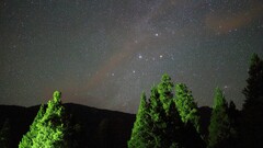 sky Stars Trees Starry Night outdoors