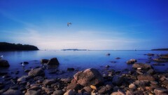 sky stones nature Birds