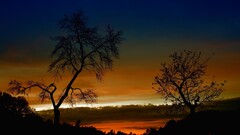 sky Trees clouds sunlight nature