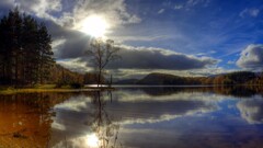 sky Trees water nature