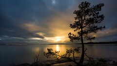 sky water landscape Trees sunlight