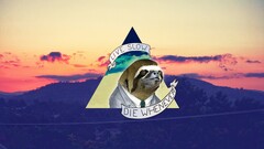 sloths triangle Animals humor
