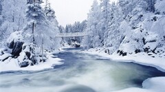 snow forest river nature winter Bridge ice