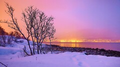 snow landscape nature winter City Lights mist