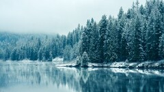 snow landscape water Trees nature