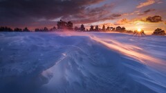 snow nature winter sunlight cold landscape