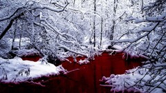 snow river winter red water forest Photo manipulation