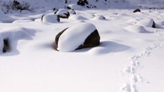 snow winter landscape nature