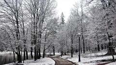 snow winter Trees Park lantern bench Lake white