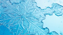 snowflakes macro snow ice