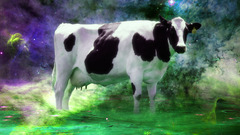 Space nebula cow