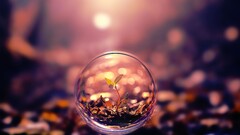 Sphere Plants digital art bokeh artwork leaves macro bubbles