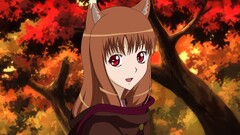 spice and wolf Holo (Spice and Wolf) animal ears Anime Okamimimi