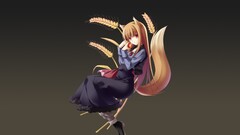 spice and wolf Holo (Spice and Wolf) Anime anime girls Okamimimi