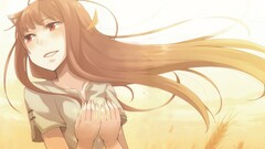 spice and wolf Holo (Spice and Wolf) anime girls Okamimimi Anime